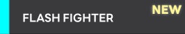 FLASH FIGHTER